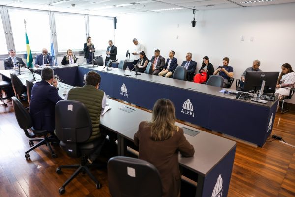 Comissão da Alerj anuncia que vai oficiar TCE, TJ, MP e Defensoria para fiscalizar execução de gastos públicos
