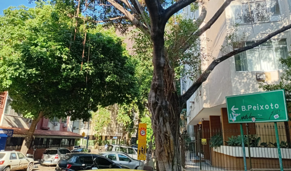 Cavaliere vai vetar emenda que autoriza prédios no Bairro Peixoto a chegarem a até 11 andares