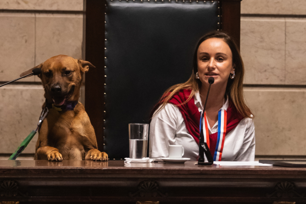 Pela primeira vez, um animal compõe a mesa de honra da Câmara do Rio