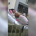 Mulher de 37 anos que fingiu ser criança é indiciada por estelionato
