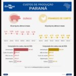 Custos de produção de suíno e frango de corte tem nova queda em maio