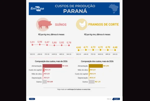 Custos de produção de suíno e frango de corte tem nova queda em maio