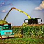 Dívida rural: abrangência do benefício racha governo e bancada do agro
