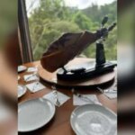 Vorcaro ofereceu a Moraes almoço com caviar, foie gras e trufas; veja fotos