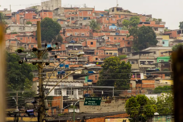Câmara do Rio aprova plano de arborização específico para favelas com pelo menos 50% de espécies frutíferas