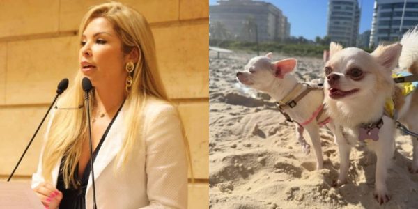 Verônica Costa pode ser indiciada por abandonar suas cachorrinhas ao fugir da polícia