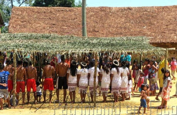 Aldeia indígena Sapukai, em Angra dos Reis, terá primeira seção eleitoral neste domingo (04)